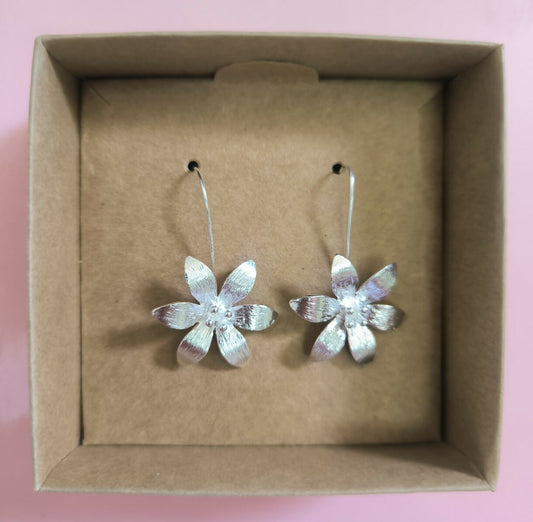Aretes Flores Especiales en Acero Plateado
